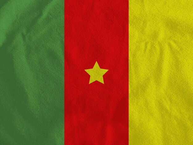 Photo drapeau du cameroun