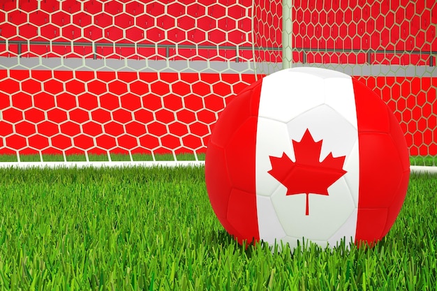 Drapeau du Canada dans le stade