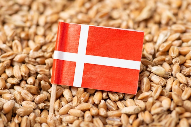 Drapeau du Danemark sur le grain de blé