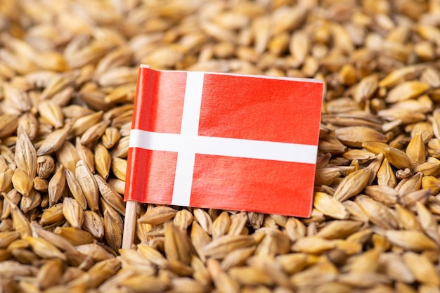 Drapeau du Danemark sur le grain d'orge