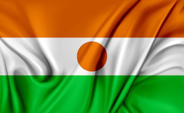 Photo drapeau du niger