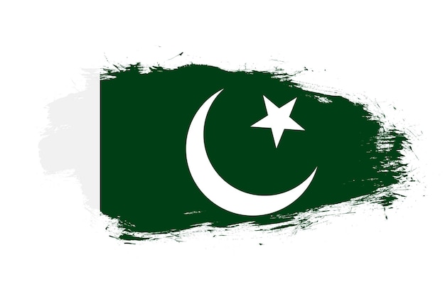 Drapeau du pakistan sur fond de pinceau blanc