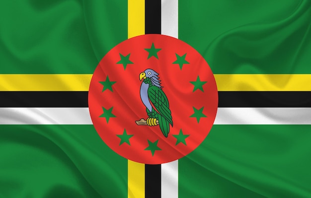 Drapeau du pays de la Dominique sur le panorama de fond de tissu de soie ondulé - illustration