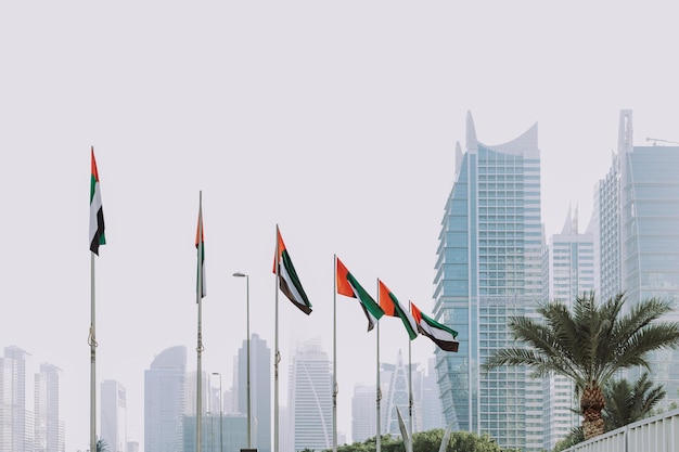 Photo drapeau du symbole national des émirats arabes unis agitant en plein air avec fond de ville et de ciel