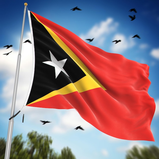 Photo drapeau du timor oriental