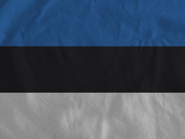 Drapeau estonien