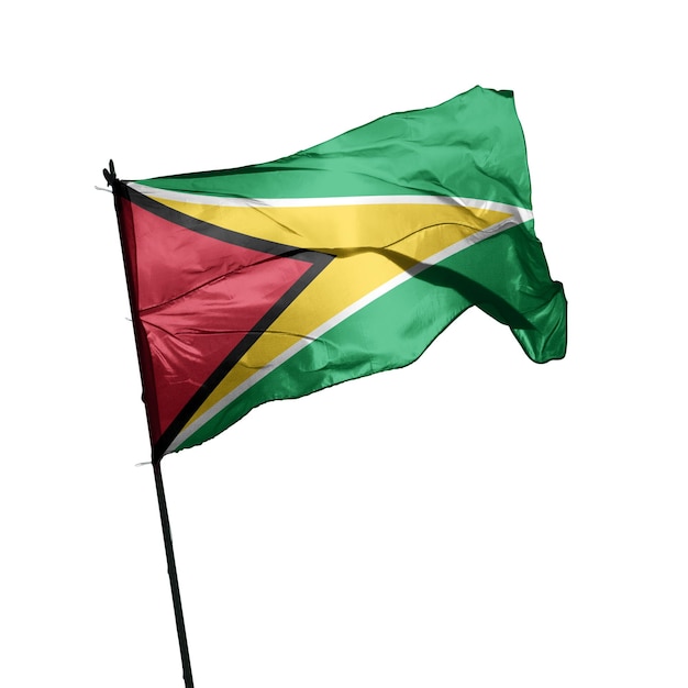 Drapeau de la Guyane sur fond blanc