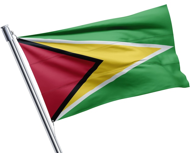 Un drapeau de la guyane