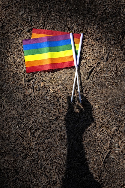 Drapeau LGBT sur le terrain. Fierté. Notion de liberté