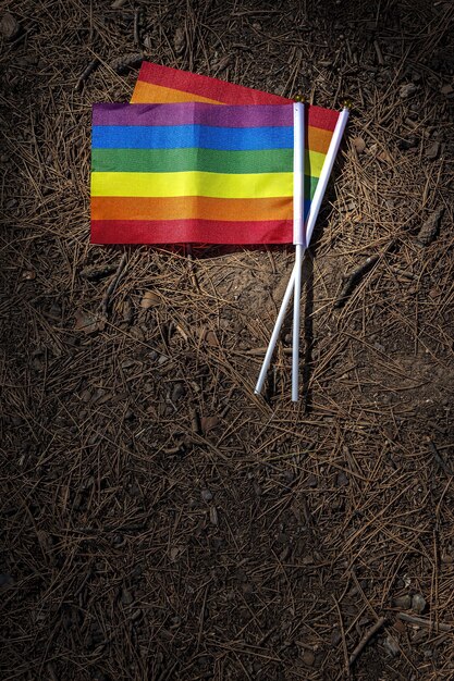 Drapeau LGBT sur le terrain. Fierté. Notion de liberté