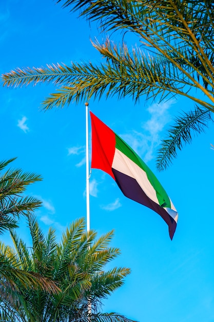 Un drapeau des Émirats arabes unis contre un ciel propre et tranquille.