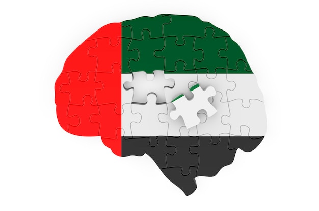 Le drapeau des Émirats arabes unis peint sur le cerveau à partir de puzzles Recherche scientifique et éducation dans le concept des Émirats arabes unis rendu 3D