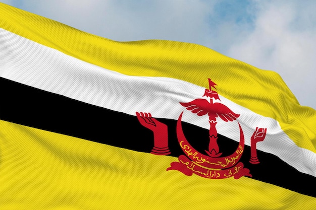 Photo drapeau national du brunei