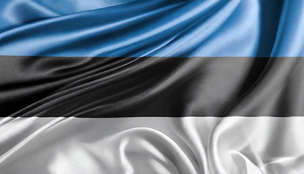 Drapeau national estonien en tissu de soie Symbole de l'Estonie Bannière pour célébrer le jour de l'indépendance