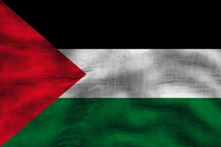 Photo drapeau national de la palestine fond avec le drapeau de la palestine