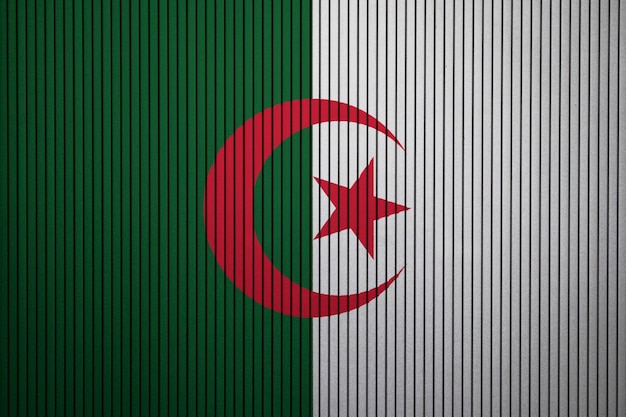 Drapeau national peint de l&#39;Algérie sur un mur de béton