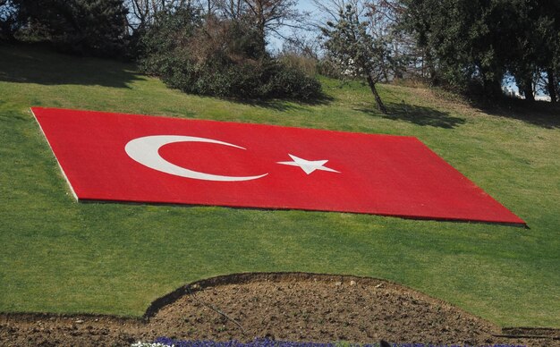 Drapeau national turc sur l'herbe verte