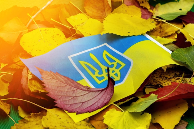 Le drapeau national de l'Ukraine sur fond de feuillage d'automne Le début de l'automne en Ukraine
