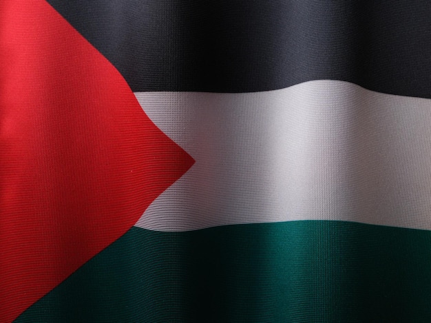 Drapeau de la Palestine