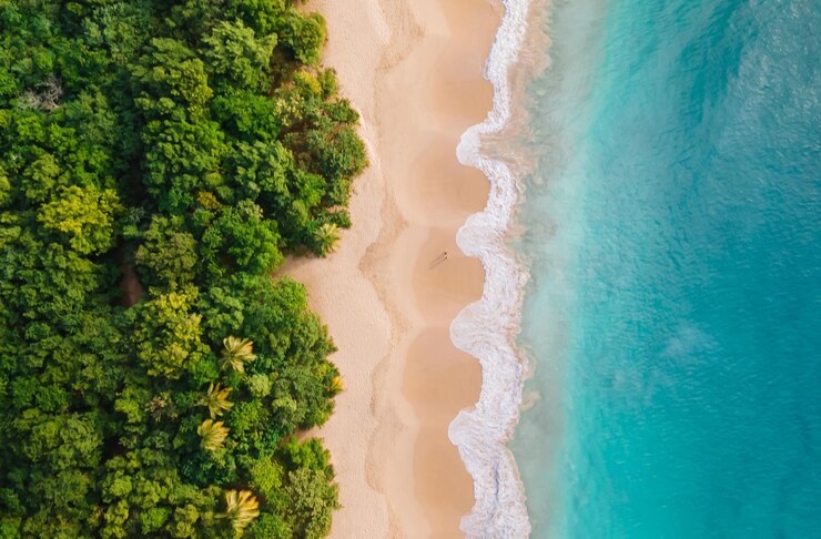 Photo drapeau de la plage de la martinique