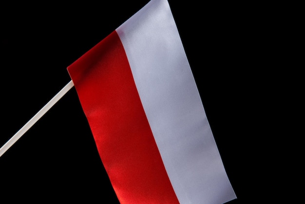 Le drapeau de la pologne vole au vent sur fond noir l'isolat