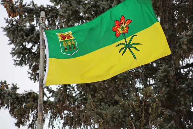 Photo le drapeau de la province canadienne de la saskatchewan flotte dans le vent en hiver, le jour du canada.