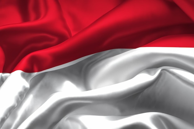 Le drapeau rouge et blanc symbolisant l'unité et le patriotisme