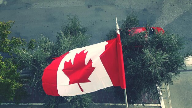 Drapeau rouge contre les arbres