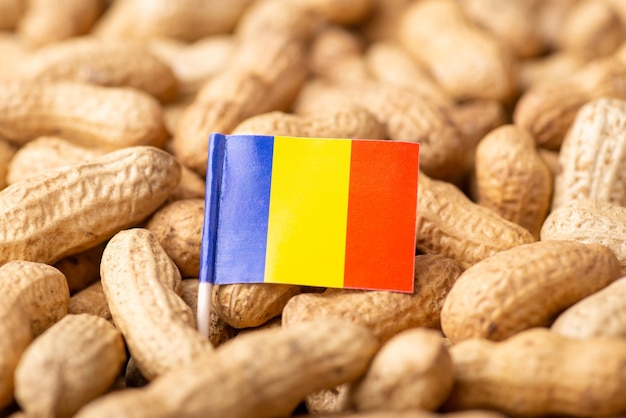 Drapeau de la Roumanie sur les cacahuètes dans la peau