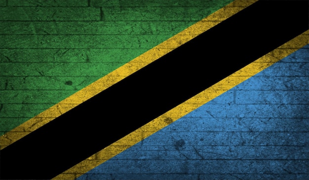 Drapeau de la Tanzanie grunge texture de mur de brique symbole national conception concrète de style plat