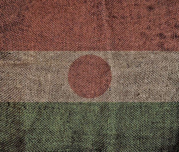 Drapeau de texture de soie du Niger