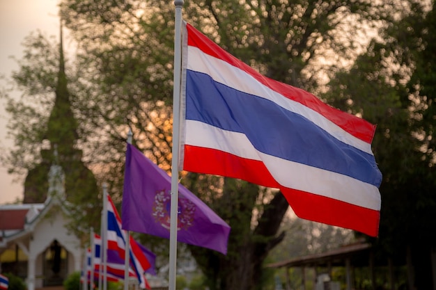 Le drapeau thaïlandais soufflant au coucher du soleil Sukhothai l'ancienne capitale de la Thaïlande parc historique