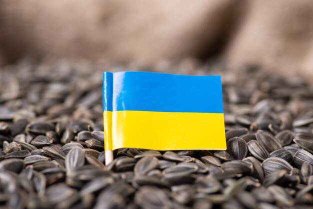 Drapeau de l'Ukraine sur le grain de tournesol