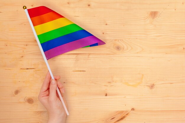 Drapeaux de la communauté LGBT dans une main