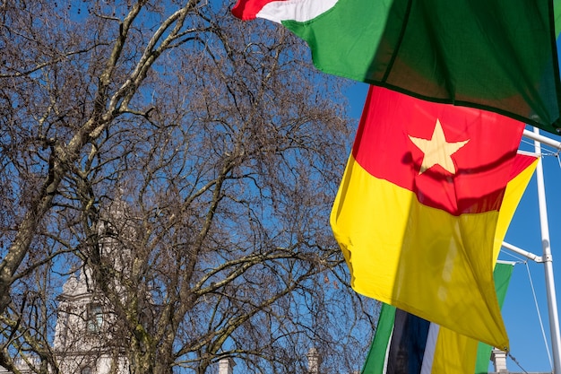 Photo drapeaux flottant sur la place du parlement