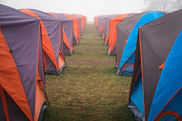 Photo des drapeaux multicolores sur l'herbe