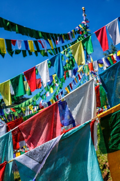 Drapeaux de prière bouddhiste lunga à mcleod ganj himachal pradesh inde