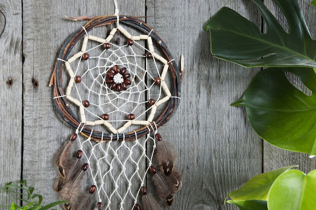 Dreamcatcher Brown avec des feuilles de monstera