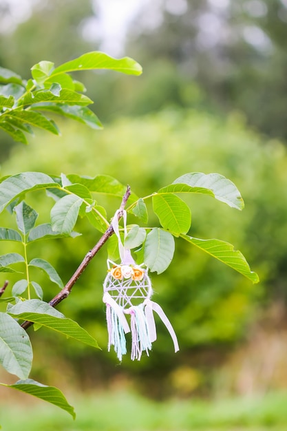 Dreamcatcher coloré à l'extérieur sur fond de nature estivale. Décor fait main fait de plumes, rubans, fils et perles.