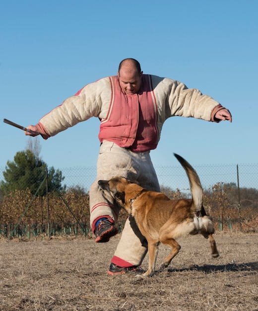 dressage de chien policier
