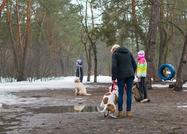 Dressage de chiens en hiver