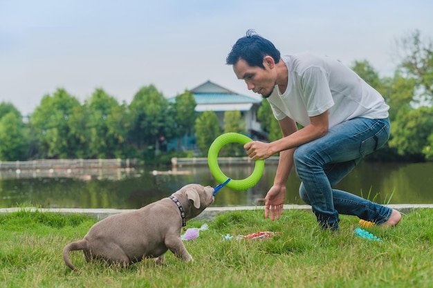 Un dresseur de chiens forme un chiot intimidateur