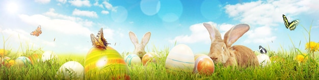 Photo drôle de lapin de pâques concept de vacances joyeuses pâques