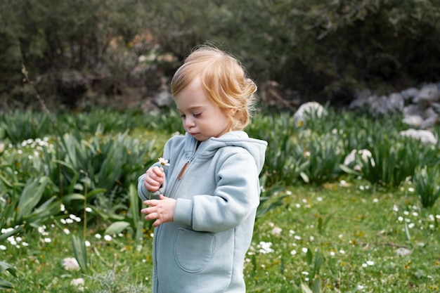 Drôle mignon adorable caucasien bébé fille blonde enfant en bas âge dans un champ vert de marguerite camomiles cueillant des fleursEnfant curieuxenfant enfantenvironnement d'apprentissagenaturemontagnes au printemps ou en été