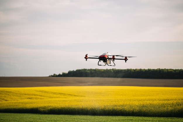 Drone agricole volant sur le champ de thé vert au lever du soleil