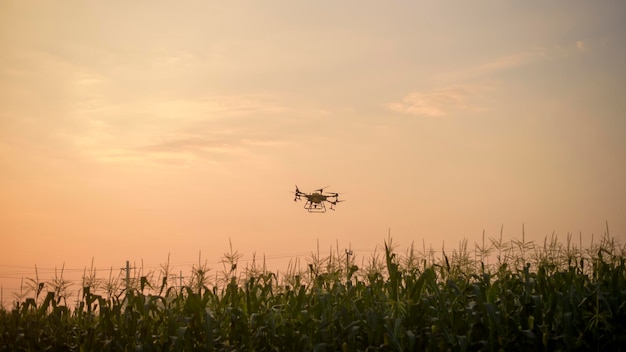 Drone agricole volant et pulvérisant des engrais et des pesticides sur les terres agricoles