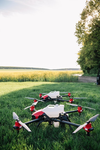 Drone moderne survolant un champ de céréales de blé par une journée ensoleillée Industrie agricole