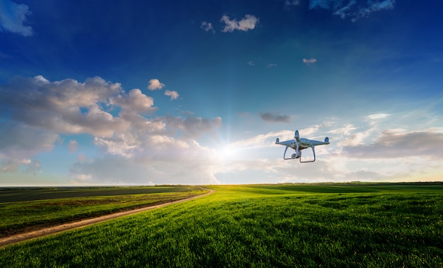 Drone quad hélicoptère sur un champ de maïs vert