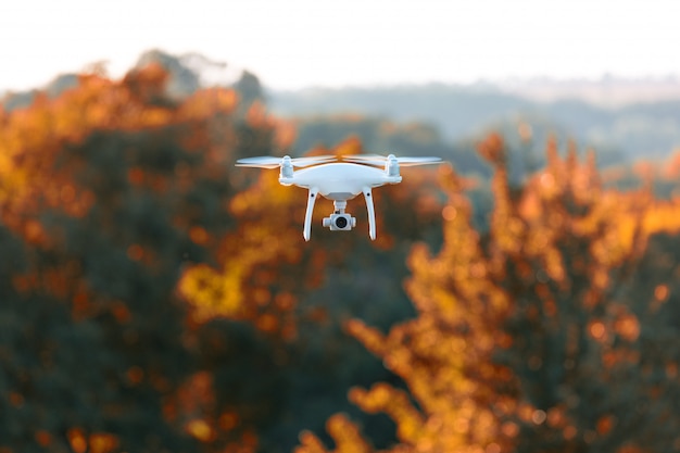 Drone quad hélicoptère sur un champ de maïs vert