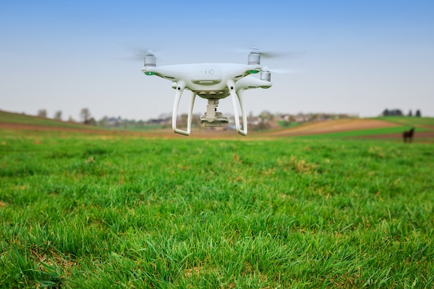 Drone quad hélicoptère sur un champ de maïs vert